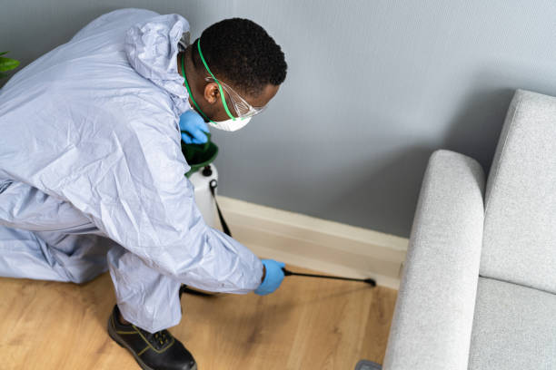 Best Bed Bug Extermination  in Fairless Hills, PA